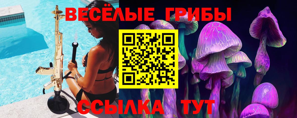 Галлюциногенные грибы GOLDEN TEACHER Белогорск