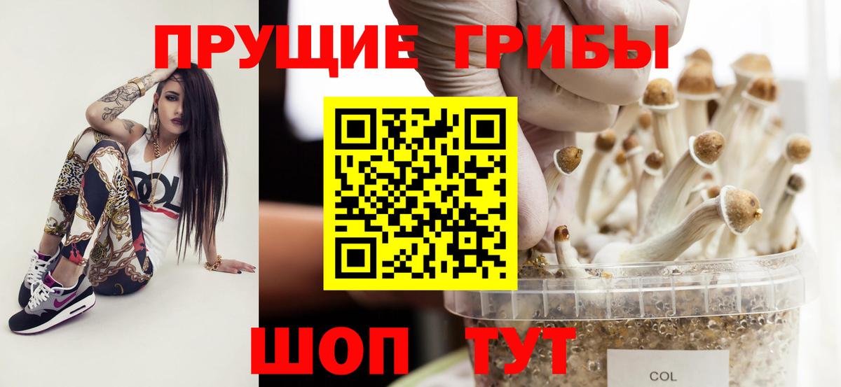 Псилоцибиновые грибы Psilocybe  Вход с VPN  Белогорск  Псилоцибиновые грибы Cubensis 